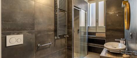 Shower, hair dryer, bidet, towels
