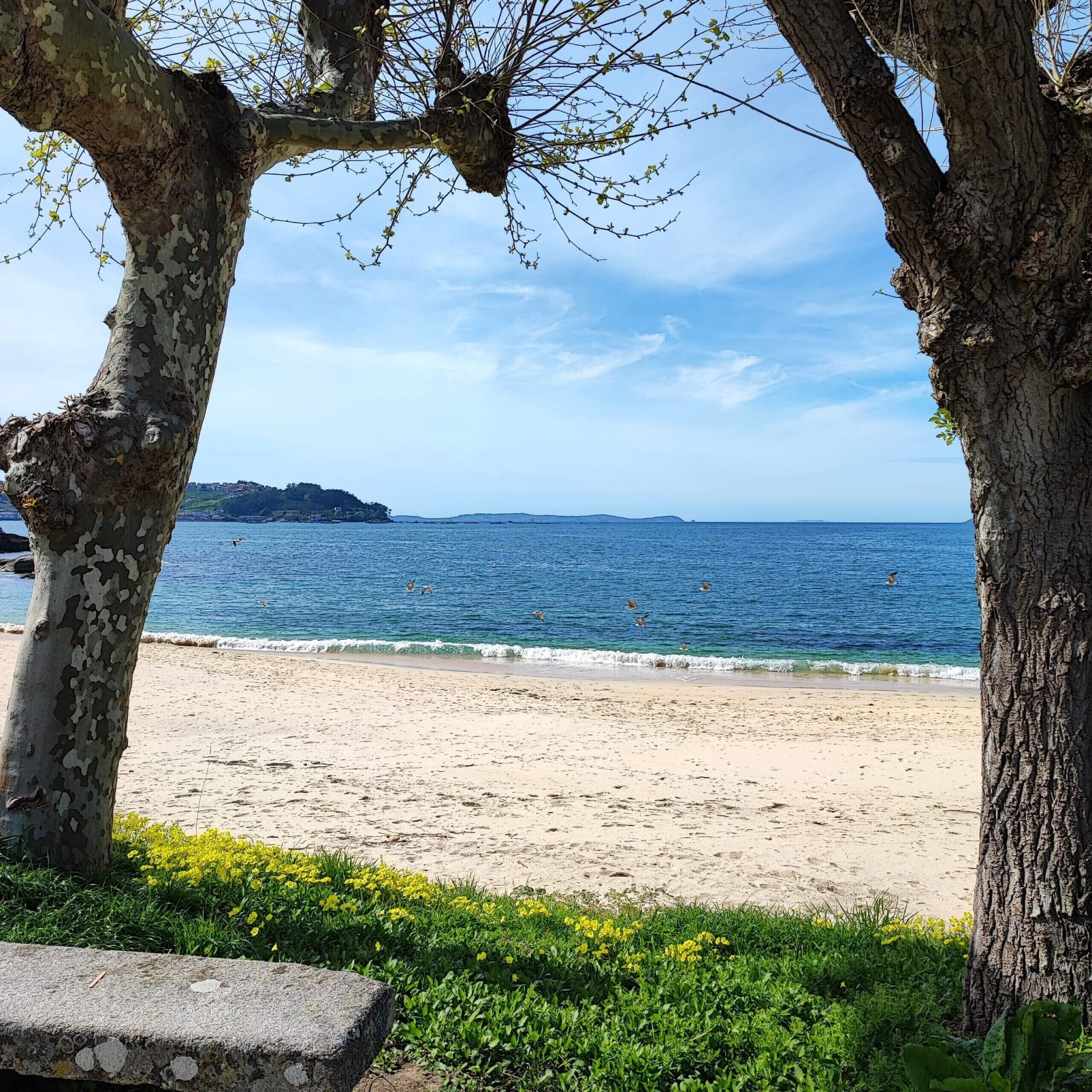 Beach nearby