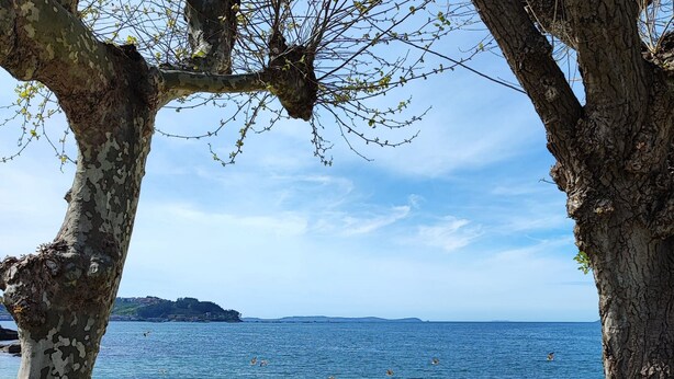 Une plage avec un banc et des arbres au premier plan, une rive sablonneuse et la mer en arrière-plan.