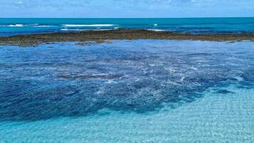 A woman in a bikini in clear blue water with a rocky shore and ocean in the background.