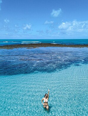 A woman in a bikini in clear blue water with a rocky shore and ocean in the background.