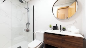 A modern bathroom with a glass-enclosed shower, a white toilet, a wooden vanity with a mirror, and a small potted plant. - Precioso Loft Puerto Maritimo with Parking (Vigo)