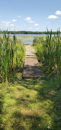 Cozy 2-bedroom Cottage - Trail access to Loon Lake