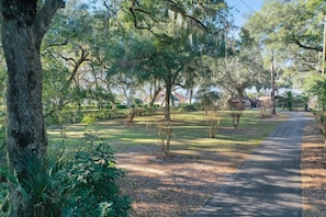A paved pathway in a park-like setting with mature trees and a clear sky.