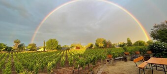 Spacious modernized 5-bedroom farmhouse on vineyard