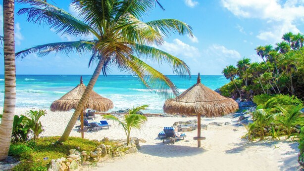 A beach with thatched umbrellas, lounge chairs, and palm trees. - A Peaceful, Tropical Loft in the heart of the Riviera Maya (TLM Akumal)