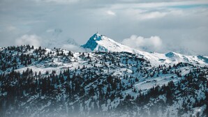 Nhà | Khác