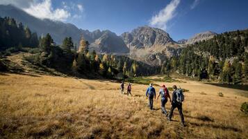 House | Miscellaneous