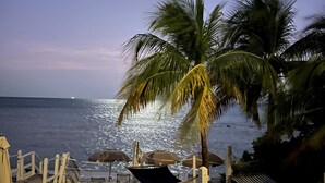 A beach with a hammock, umbrellas, and a palm tree.