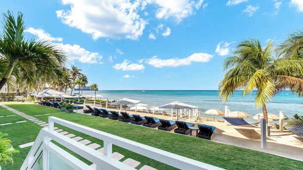 A beachside resort with a grassy lawn, lounge chairs, umbrellas, and palm trees.