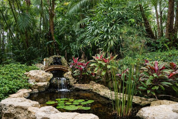 A garden with a pond, rocks, and a bridge.
