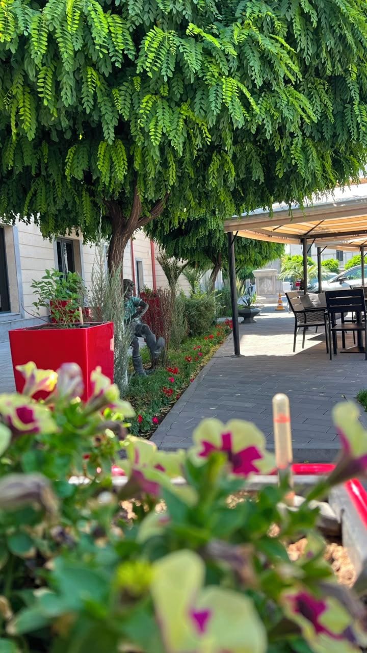 Zona d'estar exterior coberta, amb taules i caires, envoltada de vegetació i una jardiniere vermella.