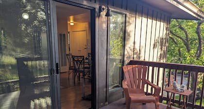 Charming 1-bedroom apartment in fabulous Castro Valley with WiFi