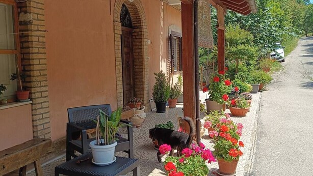 A covered outdoor seating area with a table and chairs, potted plants, and a pathway leading to a building with a brick facade. - Entire lodging in peasant house at the foot of Majella - Agricasa Caprafico (Abruzzo)