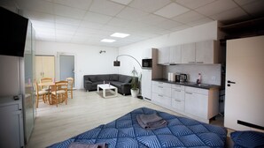 A modern bedroom with a bed, a sofa, a dining table, and a kitchenette. - Deluxe Double Studio with kitchen line, bathroom, Shower, Toilet & king bed (Rudolstadt)