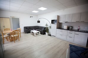 Smart TV - Deluxe Double Studio with kitchen line, bathroom, Shower, Toilet & king bed (Rudolstadt)