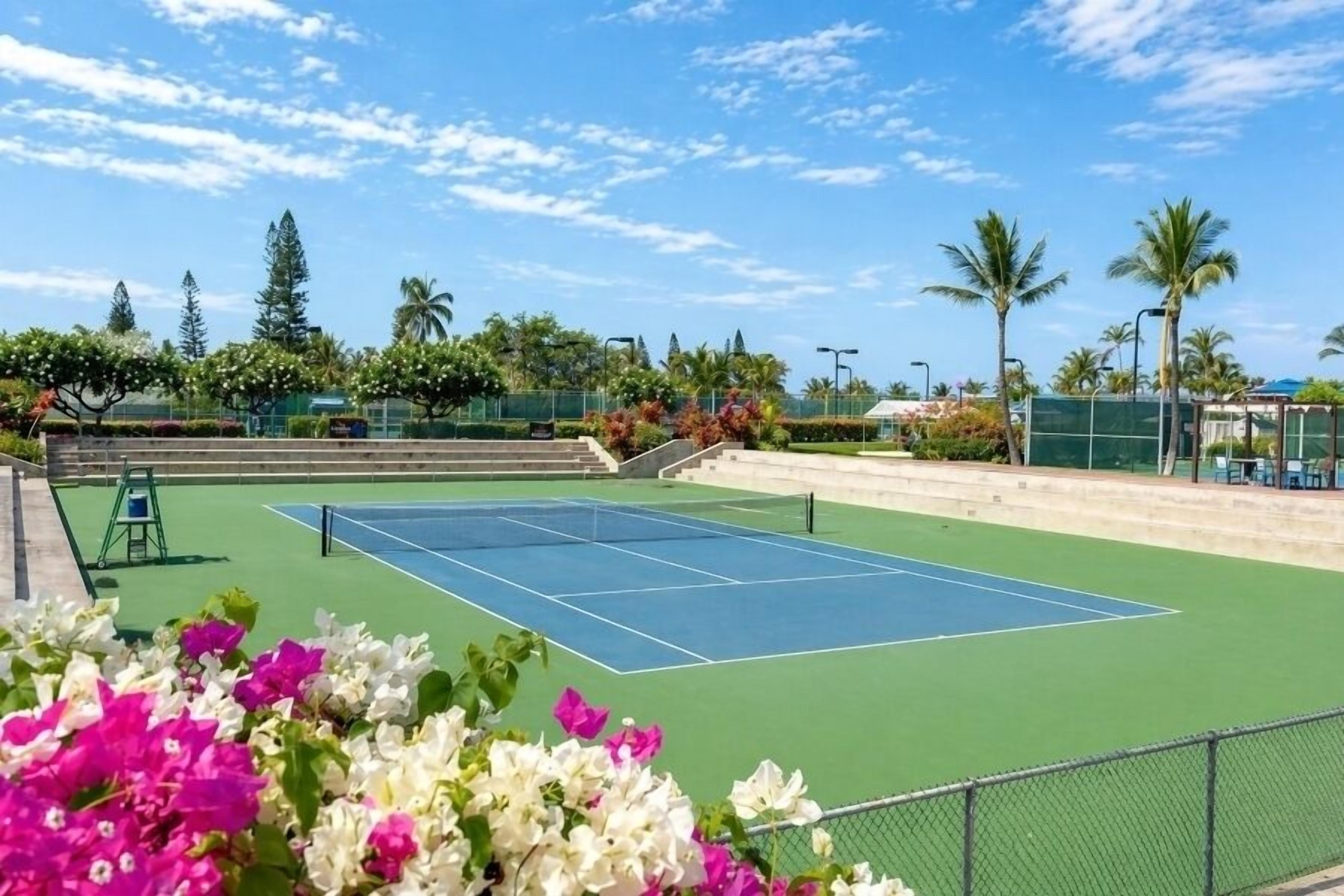 Un court de tennis entouré de verdure, sous un ciel dégagé.
