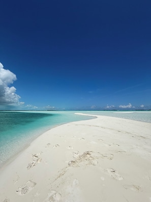 Plage, chaises longues, serviettes de plage