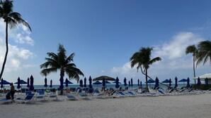 A beach with rows of blue lounge chairs and umbrellas, palm trees, and the ocean in the background.