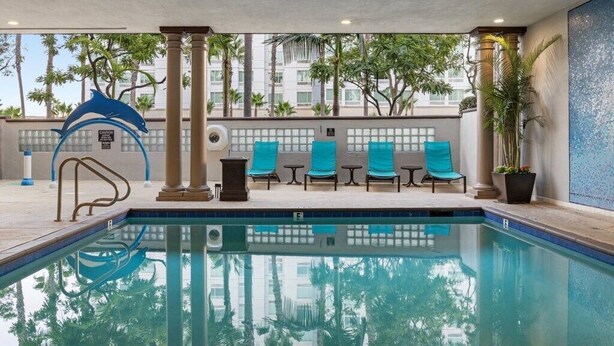 Area piscina con scultura a forma di delfino, poltrone relax e vista su palme e edifici.