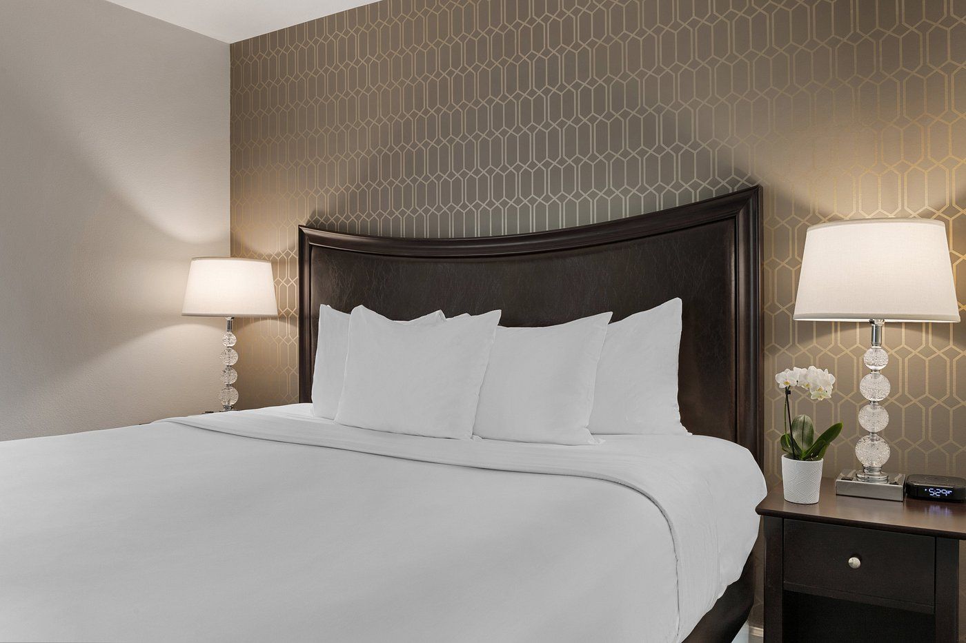 A hotel room with a large bed, two bedside lamps, a nightstand, and a potted orchid.