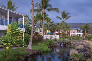 Relax by the pool surrounded by lush greenery and palm trees.