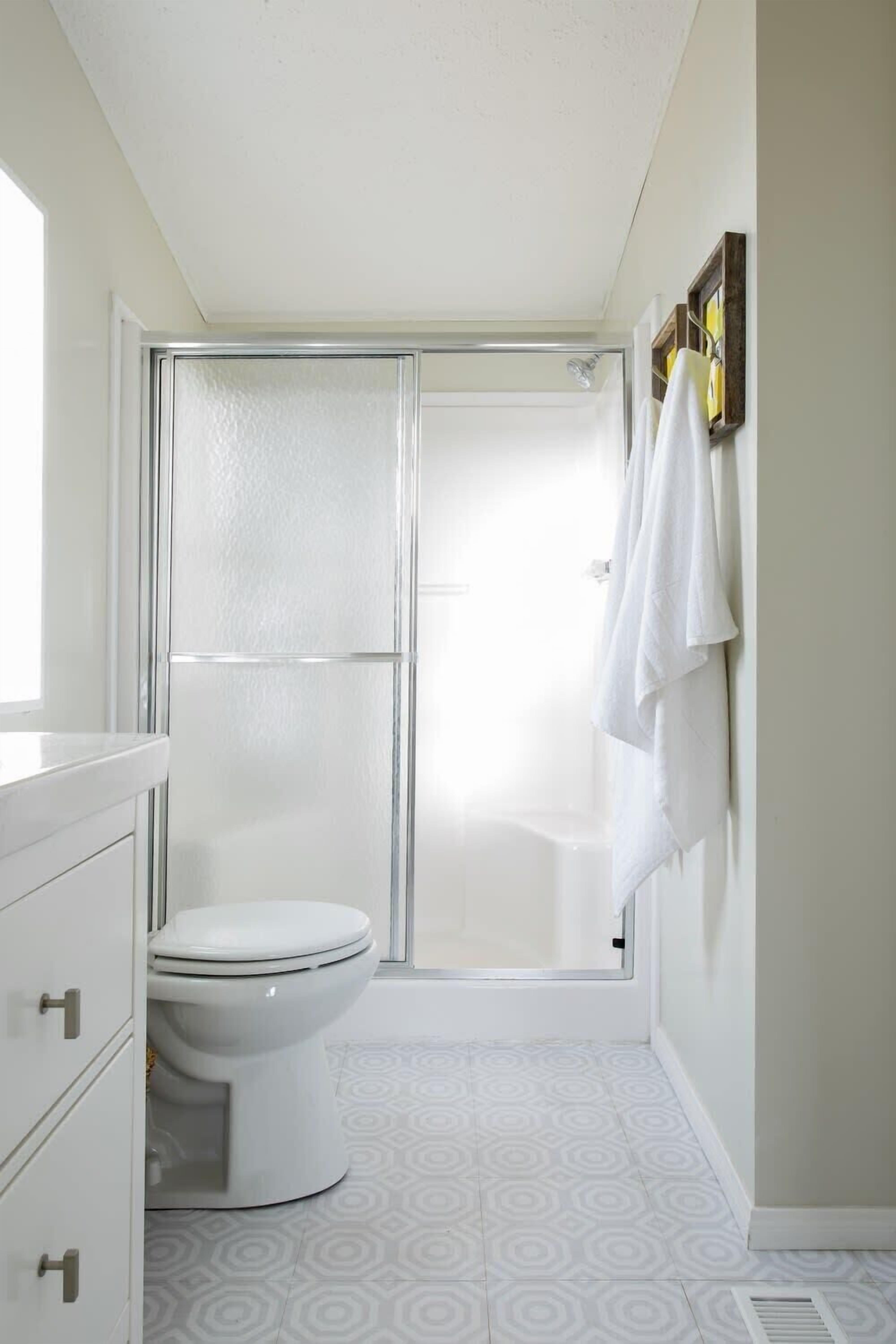 Een badkamer met toilet, douche en een handdoekhouder.