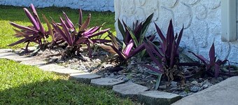 Spacious 4 bedroom with WiFi and AC in welcoming Port Orange Home away from home