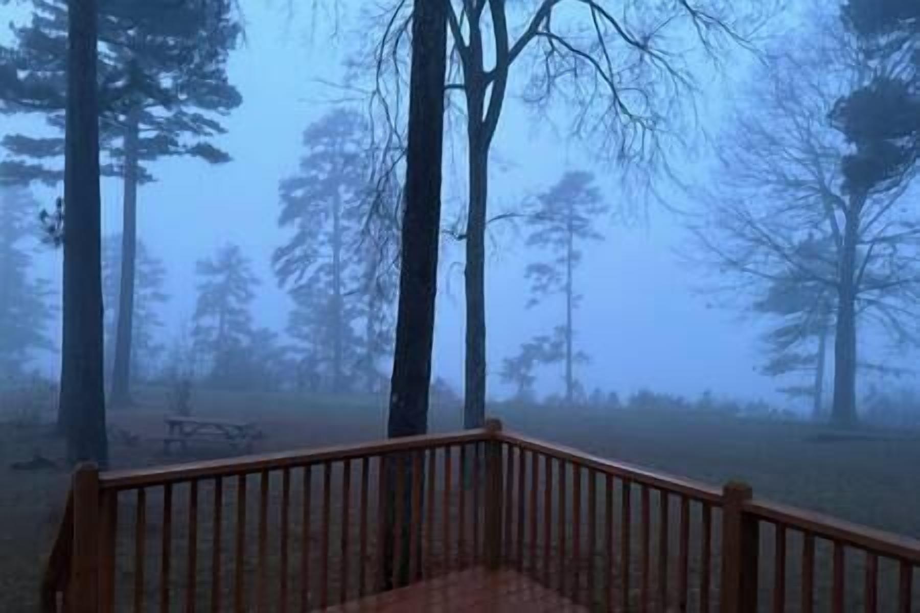 A wooden deck with a view of a forested area.