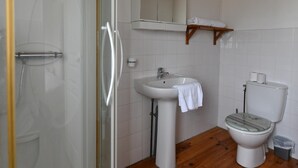 Een badkamer met een douchecabine van glas, een wastafel op een voetstuk, een toilet en een spiegel boven de wastafel.