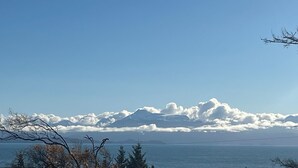 Eine Küstenlandschaft mit Bergen im Hintergrund und Bäumen im Vordergrund, bewölkter Himmel.
