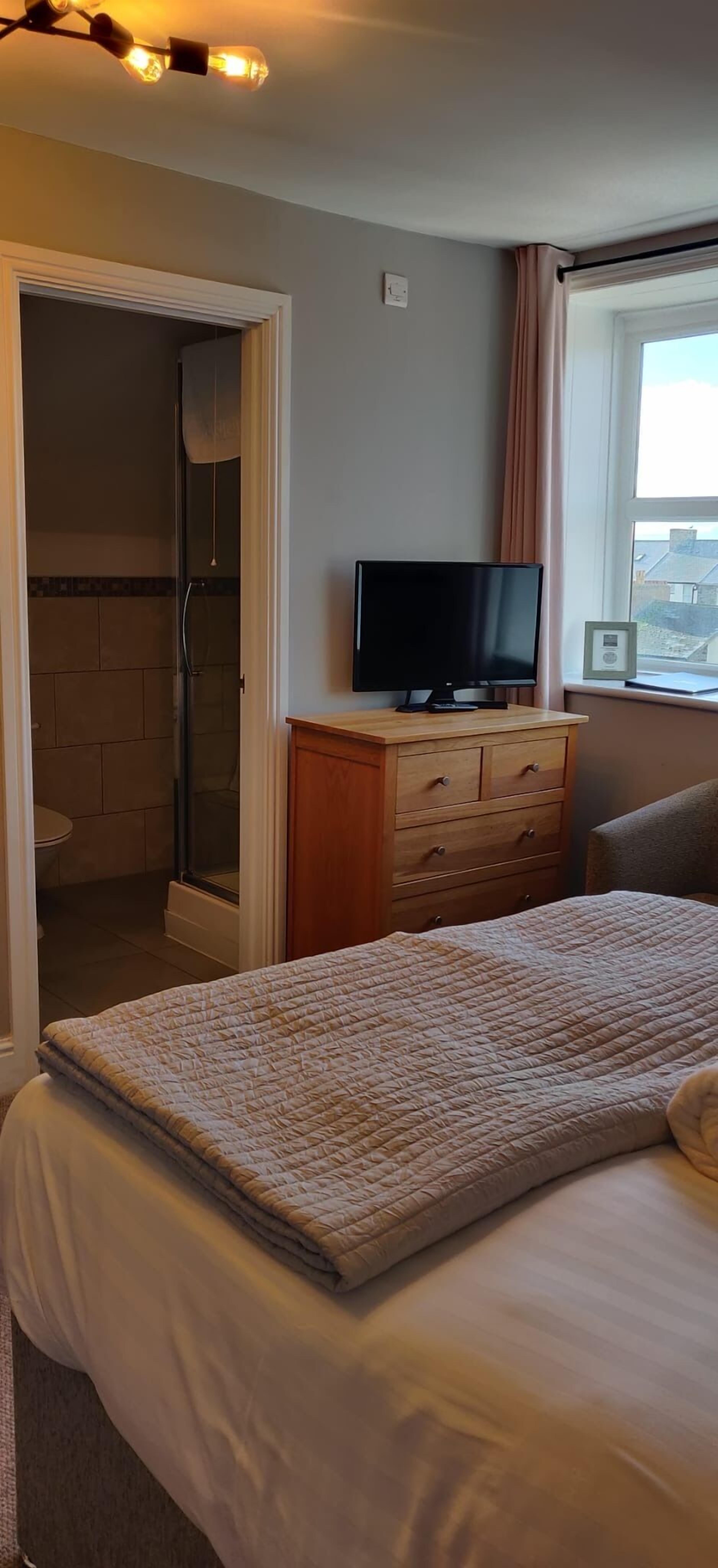 A bedroom with a bed, a TV on a wooden dresser, a window with a view, and a shower area.