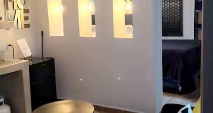 102 beau loft à Metepec <3