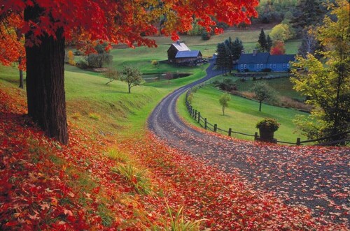 The Gas Lantern | Walk to downtown