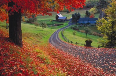 The Gas Lantern | Walk to downtown