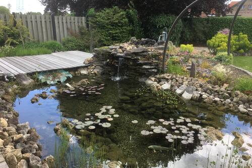 House | Garden