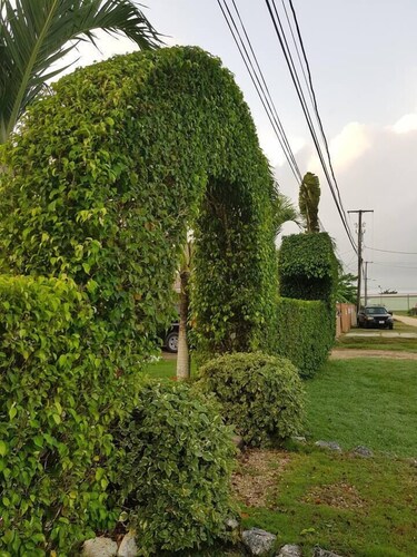 Capital Escape - Charming  bungalow with WiFi & AC