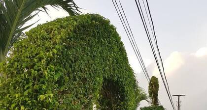 Capital Escape - Charming bungalow with WiFi & AC