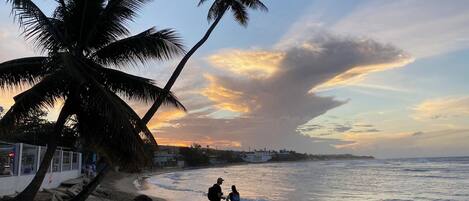 Sun-loungers, beach towels