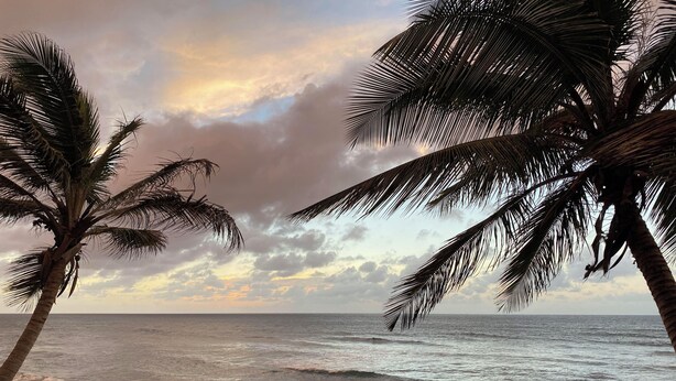 A beach with palm trees and a view of the ocean. - Charming 3-bedroom house in delightful Isabela with Wi-Fi, AC

 (Isabela)