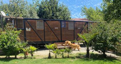 Spectacular train car with individual yard.
