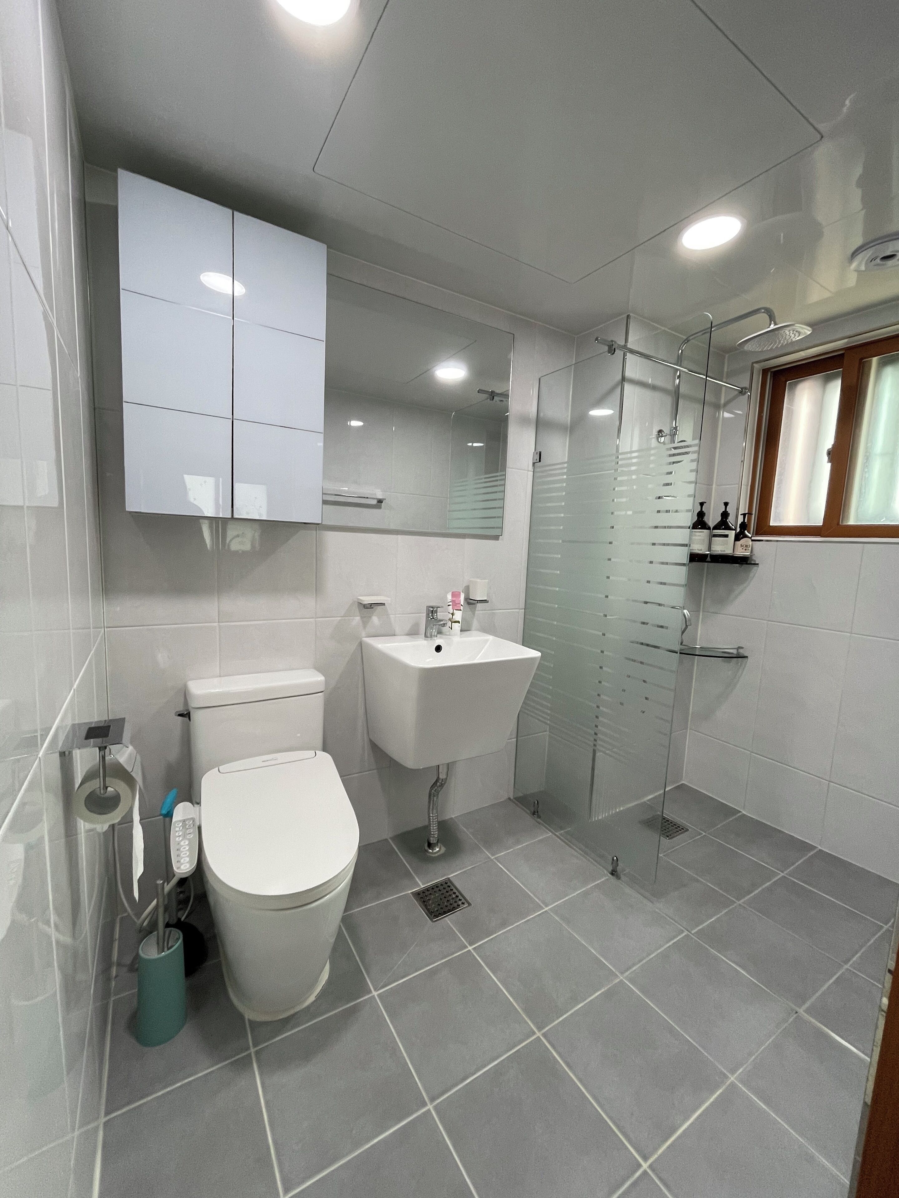 Hair dryer, towels, soap, toilet paper