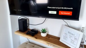 Un téléviseur affiche l’écran de connexion à Netflix. En dessous, une étagère en bois présente une petite plante en pot, un panneau d’accueil encadré et un haut-parleur noir.