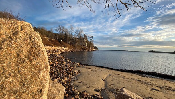 A rocky shoreline with a calm body of water, trees, and a clear sky. - Charming Cottage in the Shadow of Day Mountain (Mount Desert)