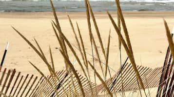 Playa en los alrededores