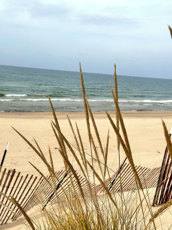 بالقرب من الشاطئ