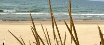 Renovated Cottage w/Lake Views, Beach Access & More!