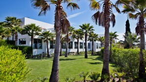 A modern building with a white facade, surrounded by a well-maintained lawn and palm trees.