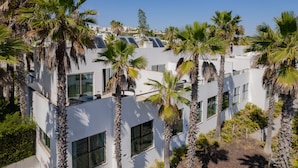 A modern building with multiple floors, surrounded by palm trees.