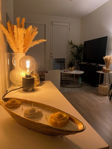 Cozy luxury studio in heart of hollywood with parking, gym and rooftop.